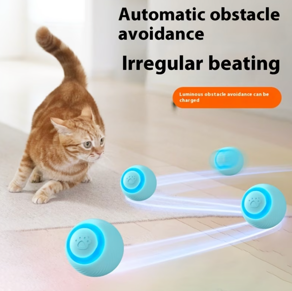 PurrMotion