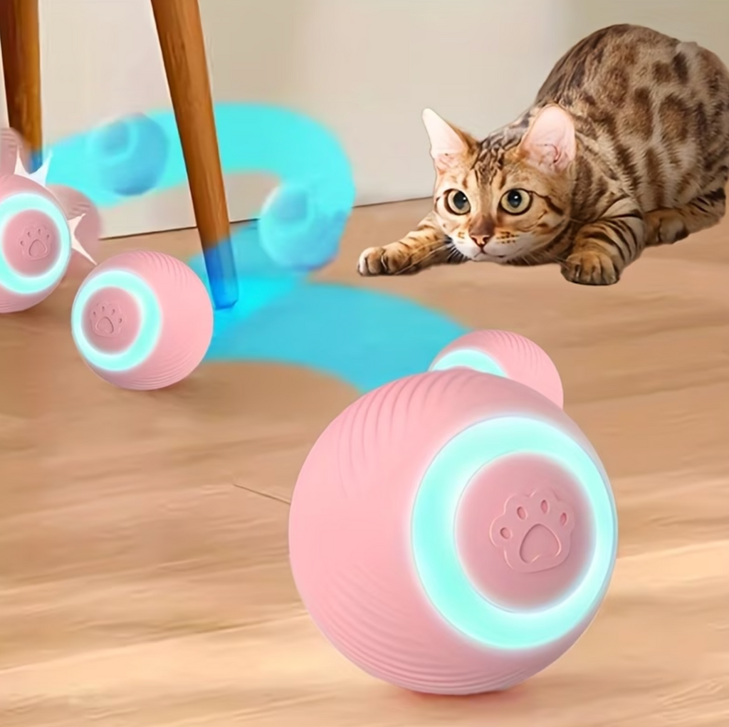 PurrMotion