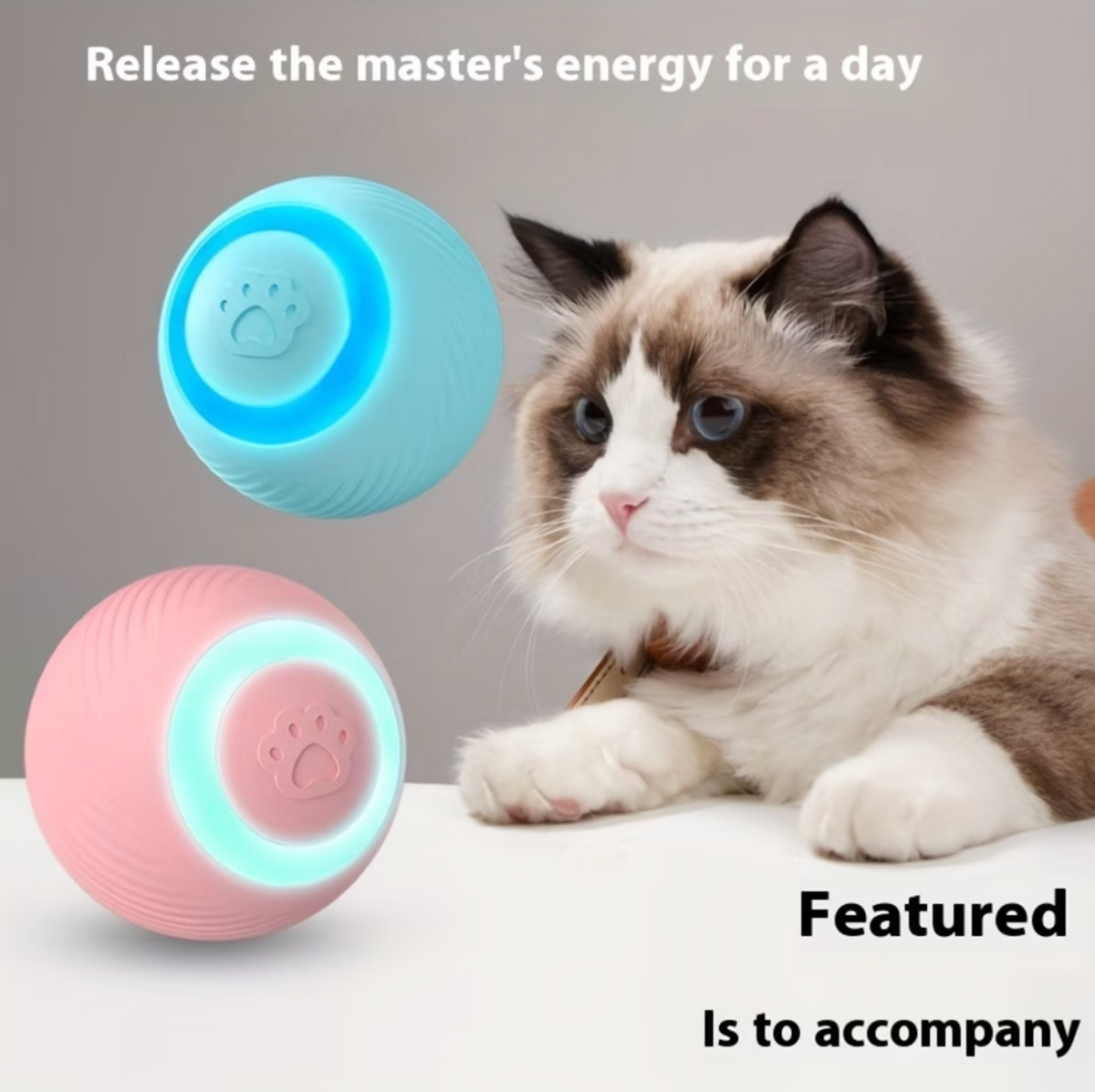 PurrMotion