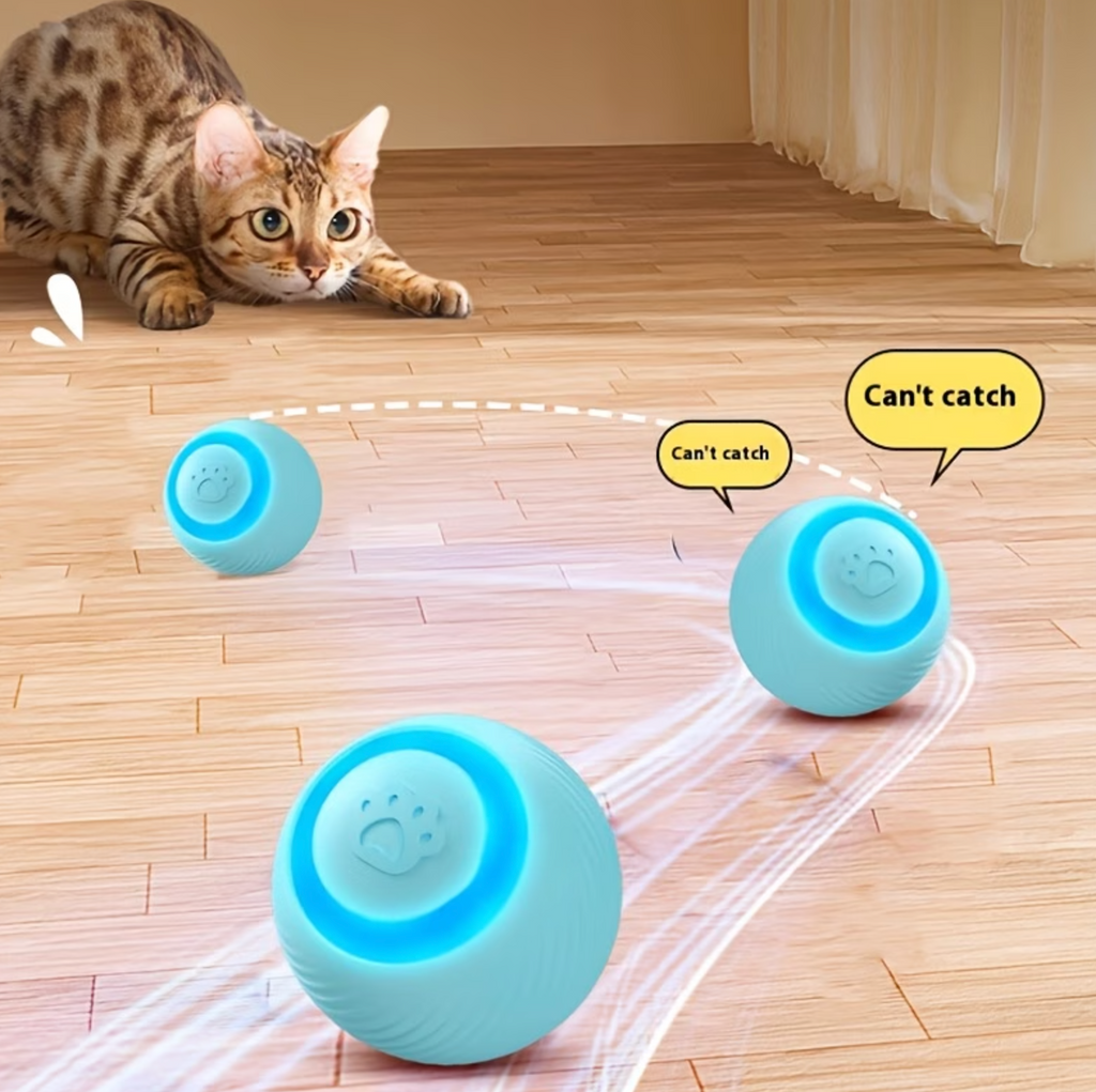 PurrMotion